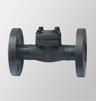 600Lb piston check valve with flanged