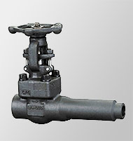Gate Valve (Extended Body Forged)