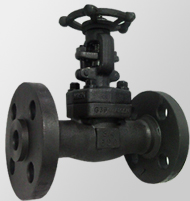 600Lb Gate Valve with Flanged