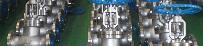 Vervo forged steel valve