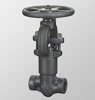 Pressure seal globe valves