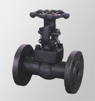 300Lb Gate Valve with Flanged